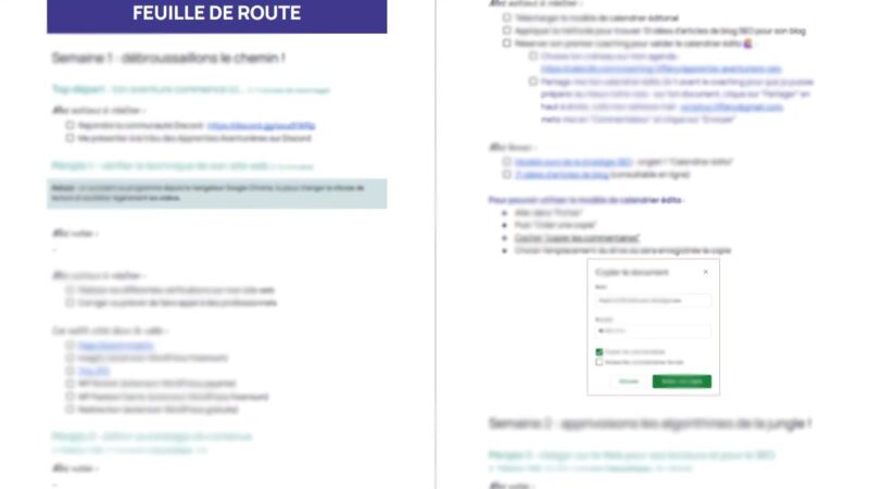 aperçu de la feuille de route du coaching seo